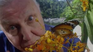 David Attenborough's Conquest of the Skies — foto 3
