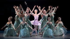 The Sleeping Beauty — foto 1