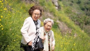 소풍 — foto 4