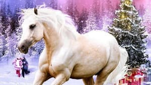 My Christmas Pony — foto 1