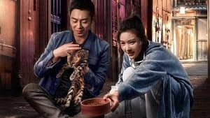 赖猫的狮子倒影 — foto 1