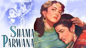 Shama Parwana — foto 3