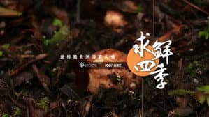 求鲜四季 — foto 1