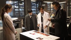Episodio 8