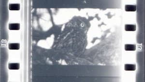 Nachtstück — foto 1