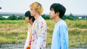 タロウのバカ — foto 12