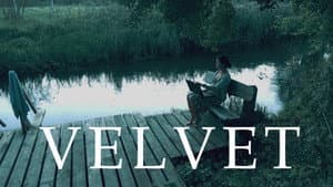 Velvet — foto 1