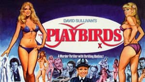 The Playbirds — foto 2