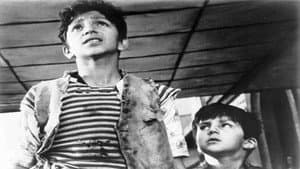 El Camino de la Vida — foto 1