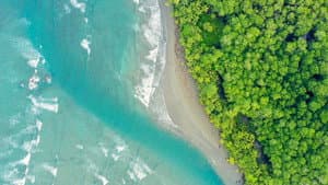 Costa Rica : Le réveil de la nature — foto 1