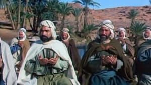 الشيخ بوعمامة — foto 10