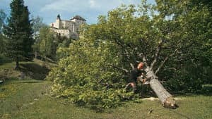 Nos chastè – Das Schloss Tarasp und seine märchenhafte Geschichte — foto 4