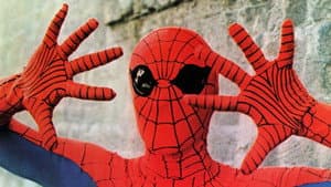 El Hombre-Araña — foto 4