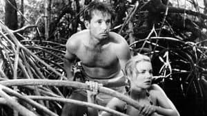 King of the Coral Sea — foto 1