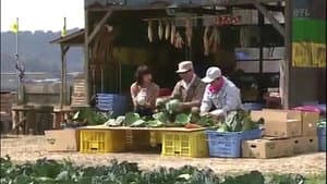 磁石男 — foto 1