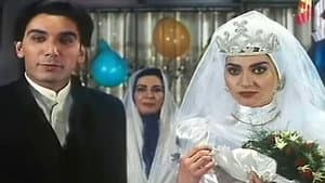 شب برهنه — foto 1