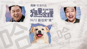 狗果定理 — foto 1
