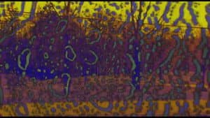 Joose Psychedelia Test — foto 4