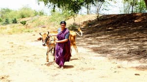 லெனின் பாண்டியன் — foto 5
