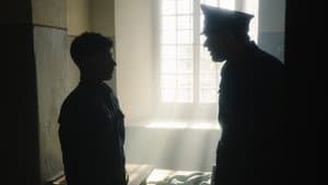 El zorro — foto 8