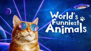 World's Funniest Animals — foto 3