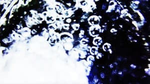 2025.03.17 — foto 2