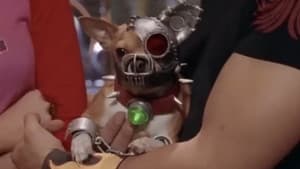 Episodio 8