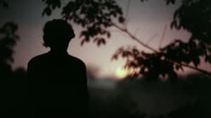 പോക്കുവെയിൽ — foto 5