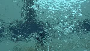 Swimming — foto 1