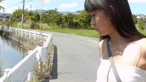 みるネコ — foto 1