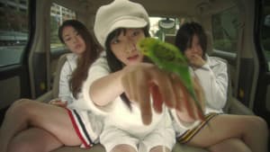 愛のむきだし — foto 3