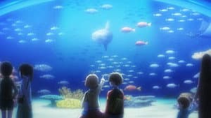 El acuario de Sakura