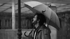 La quietud en la tormenta — foto 1