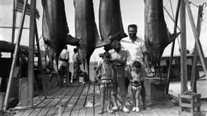 Hemingway — foto 4
