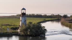 Europe's New Wild — foto 7