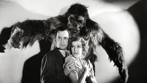 The Gorilla — foto 1