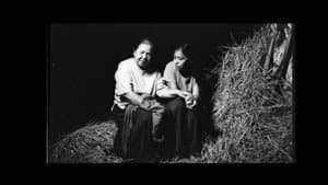 Ebolusyon ng Isang Pamilyang Pilipino — foto 11