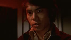 夜の演歌　しのび恋 — foto 5