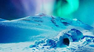 The Last Igloo — foto 2