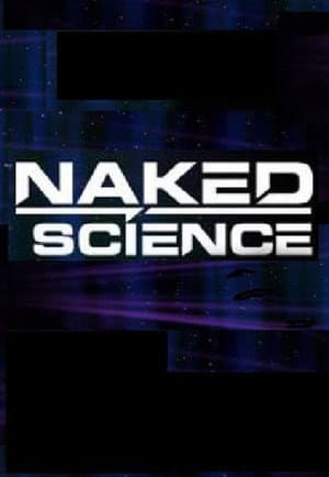 Temporada 4