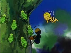 Episodio 43