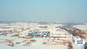 Episodio 12