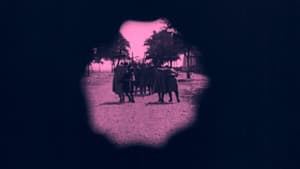 J'accuse — foto 10