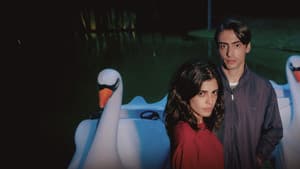 Dias Perfeitos — foto 3