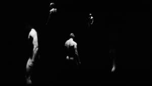 VISCERAL — foto 1