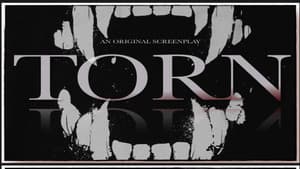 Torn — foto 1