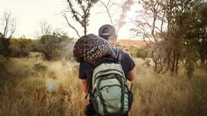 Pangolín: El viaje de Kulu — foto 2