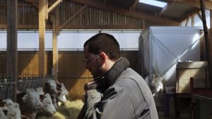 Cyrille, agriculteur, 30 ans, 20 vaches, du lait, du beurre, des dettes — foto 1