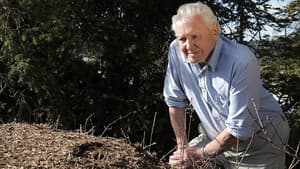 Attenborough and the Empire of the Ants — foto 3
