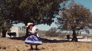 Ñuu Kanda (Pueblo En Movimiento) — foto 1